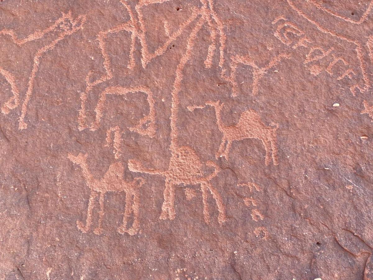 וואדי רם Wadirum Zeid Camp&Tours מראה חיצוני תמונה