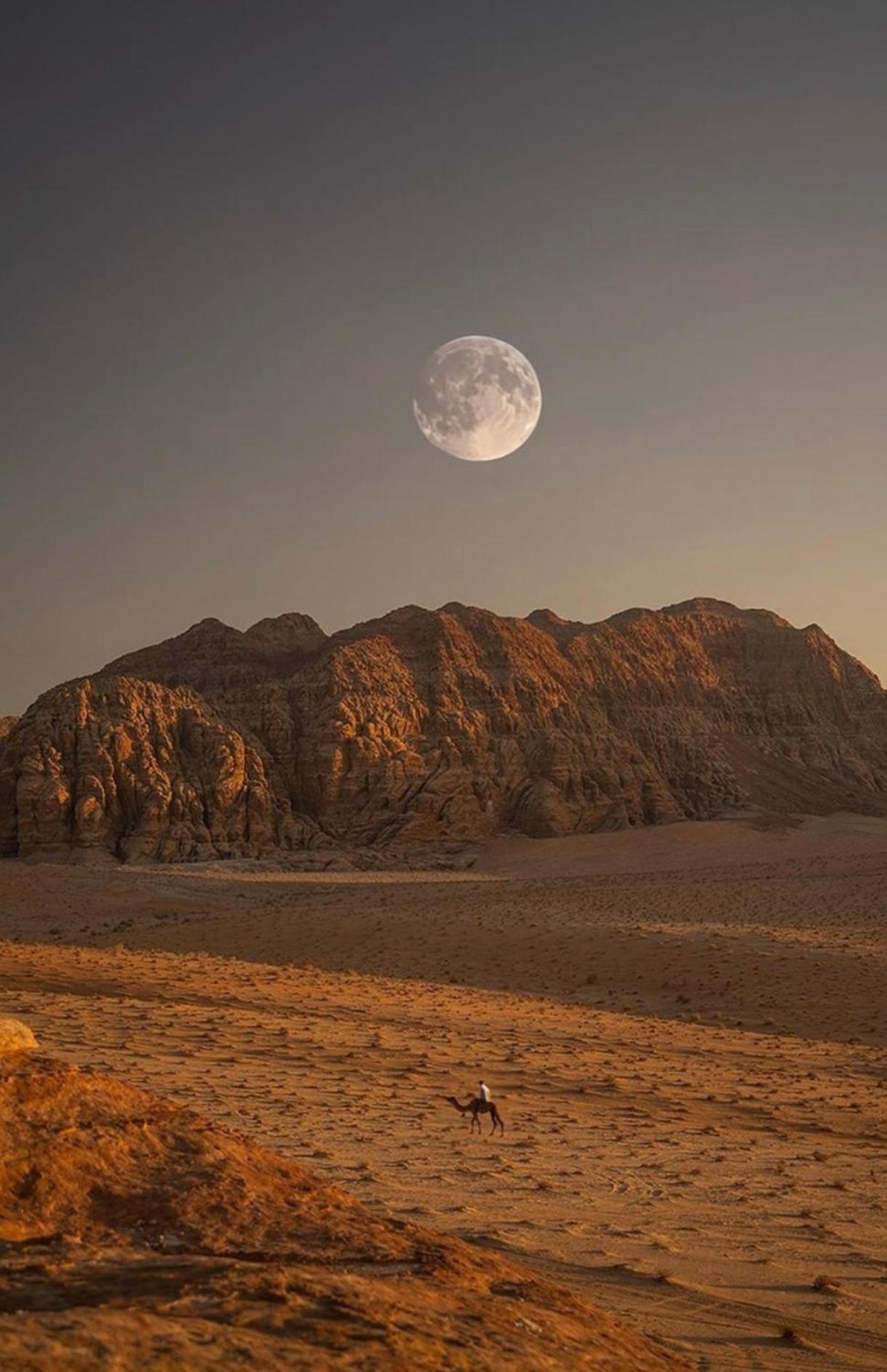 וואדי רם Wadirum Zeid Camp&Tours מראה חיצוני תמונה