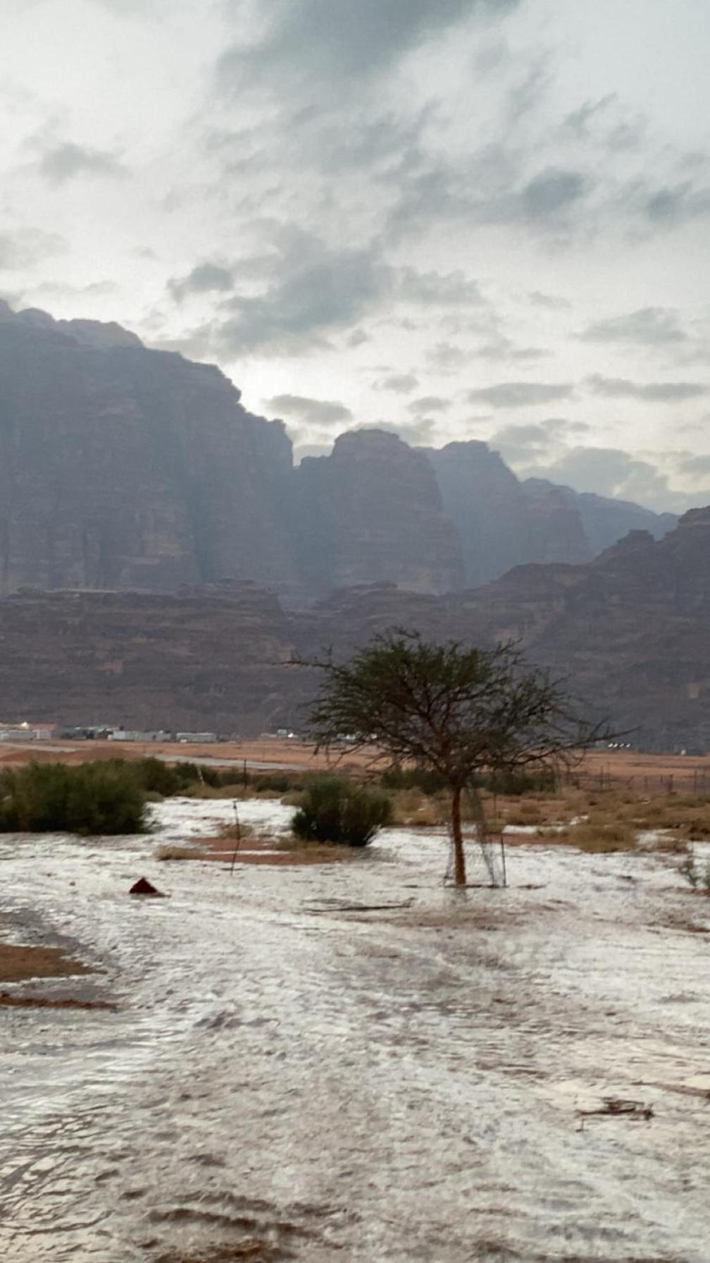 וואדי רם Wadirum Zeid Camp&Tours מראה חיצוני תמונה