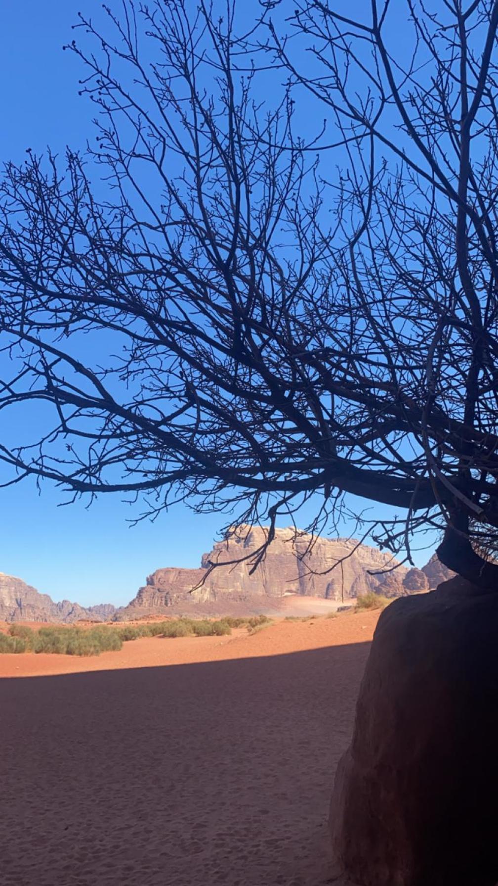 וואדי רם Wadirum Zeid Camp&Tours מראה חיצוני תמונה